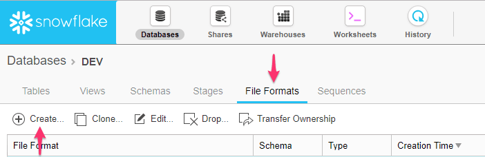 Salesforce to Snowflake: create file format in snowflake